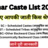 Bihar Caste List 2024 - जानिए आपकी जाती किस श्रेणी में है