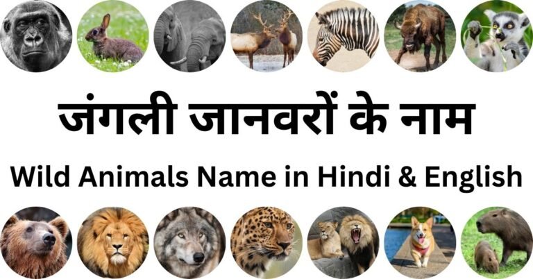 जंगली जानवरों के नाम