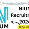 NIUM Recruitment 2024