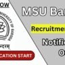 MSU Baroda Recruitment 2025