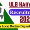 ULB Haryana Recruitment 2025