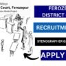 Ferozepur District Court Recruitment 2025 for 47 Vacancies Clerk, Stenographer Posts
