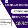 SAS Nagar District Court Recruitment 2025